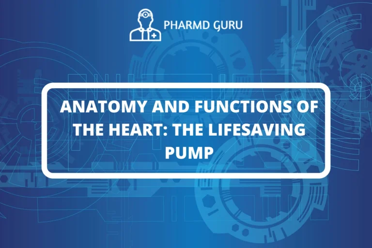 ANATOMY AND FUNCTIONS OF THE HEART THE LIFESAVING PUMP