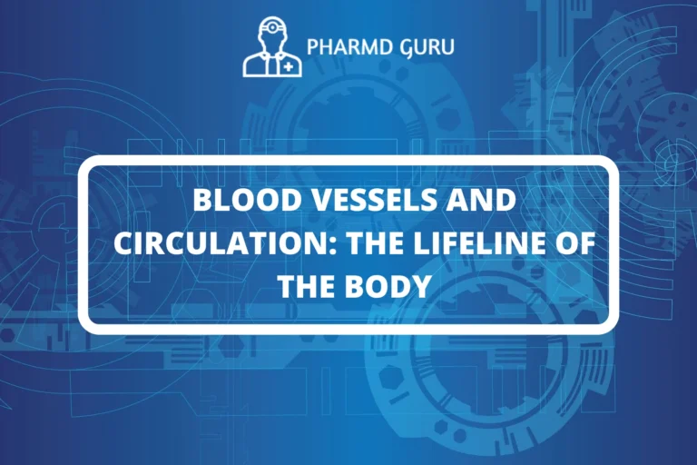 BLOOD VESSELS AND CIRCULATION THE LIFELINE OF THE BODY