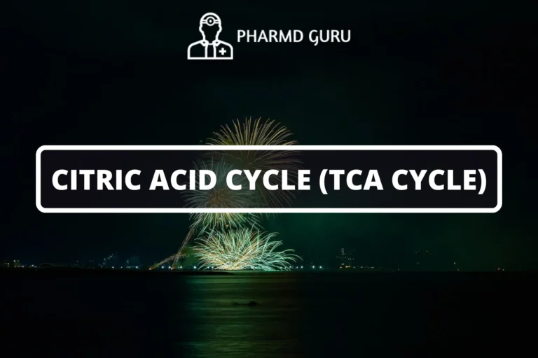 CITRIC ACID CYCLE (TCA cycle)