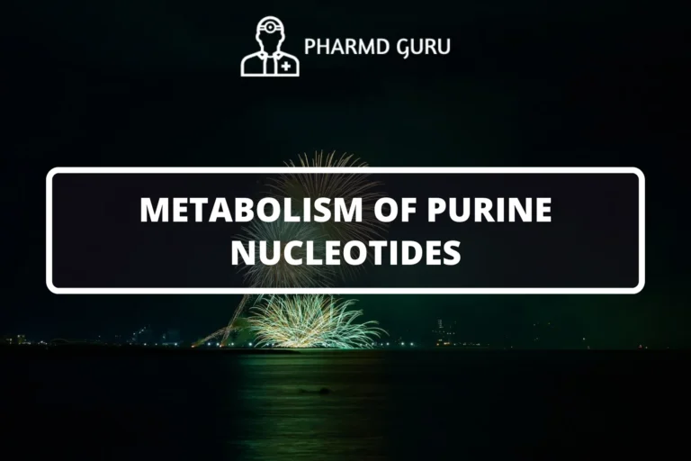METABOLISM OF PURINE NUCLEOTIDES