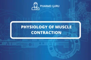 PHYSIOLOGY OF MUSCLE CONTRACTION